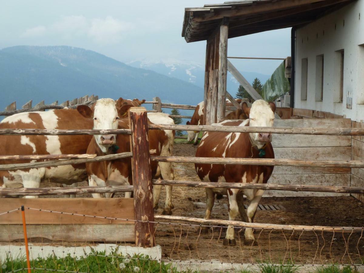 Marerhof Διαμέρισμα Ντομπιάκο Εξωτερικό φωτογραφία